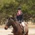 Boxing Day Foxhunts